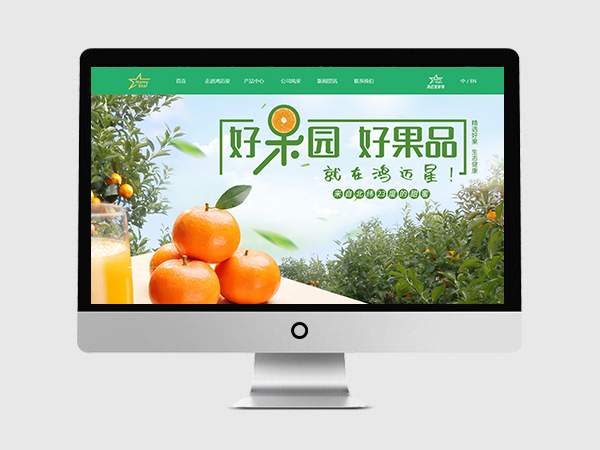 廣西鴻邁星果業網站案例